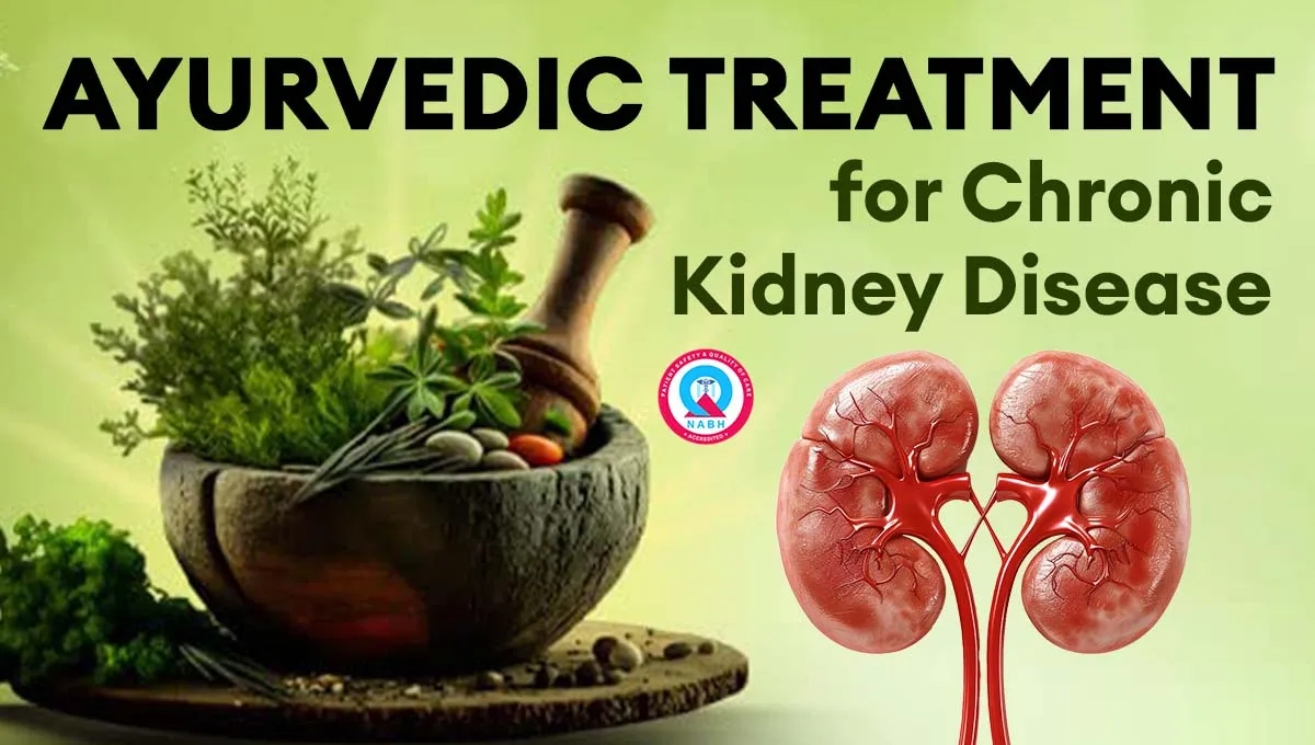 ayurvedic-treatment-for-chronic-kidney-disease